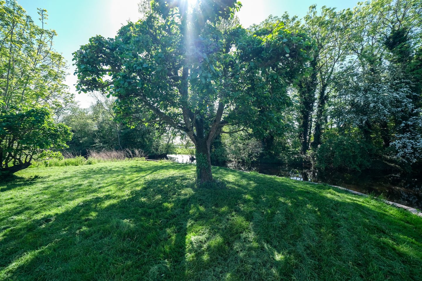 Foto 44 van Donkereind 23