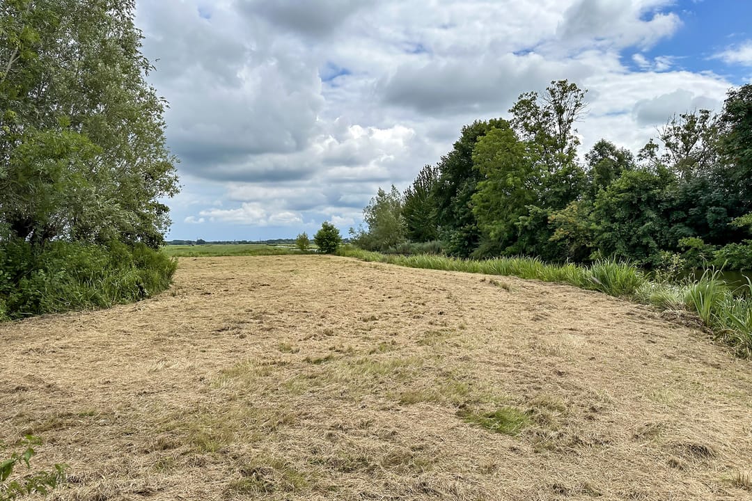 Foto 11 van Donkereind 23