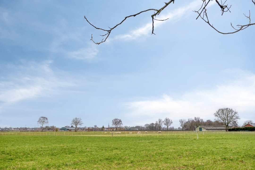 Foto 38 van Peeldijk 38