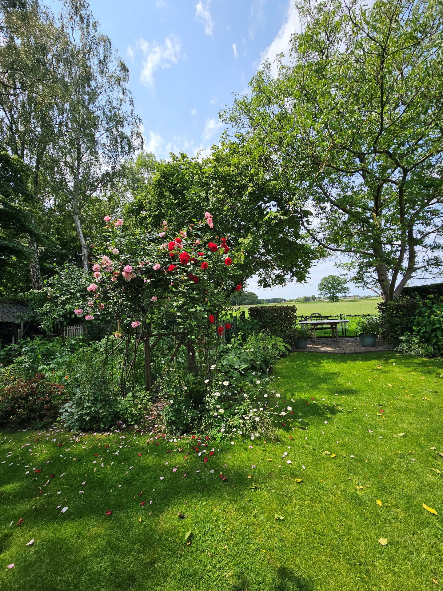 Foto 40 van Peeldijk 38