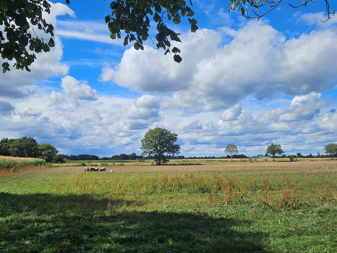 Foto 41 van Peeldijk 38