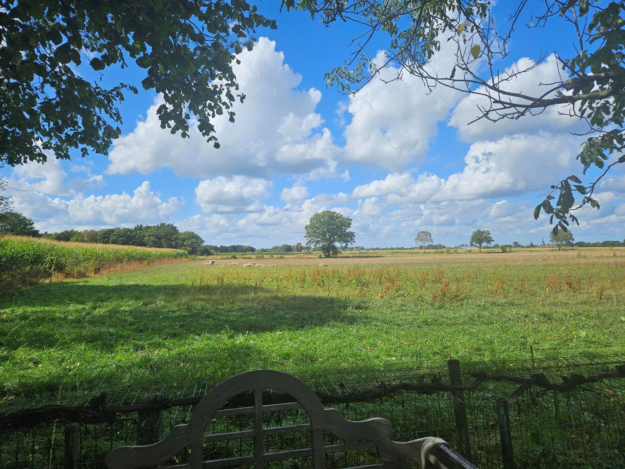 Foto 42 van Peeldijk 38