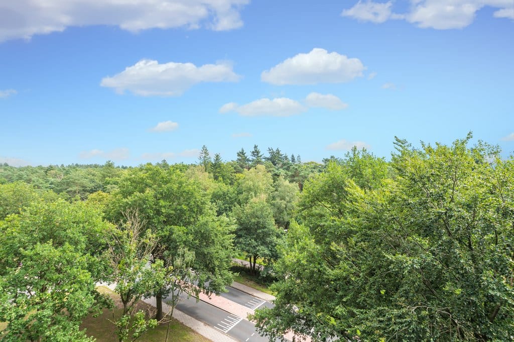 Photo 8 of Laan van Vollenhove 2227