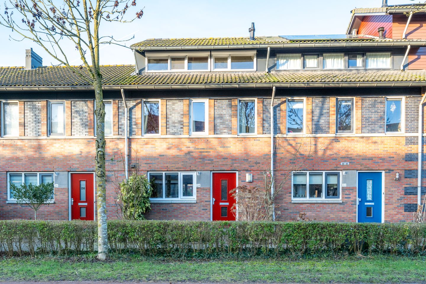 Foto 5 van Beukenhout 24