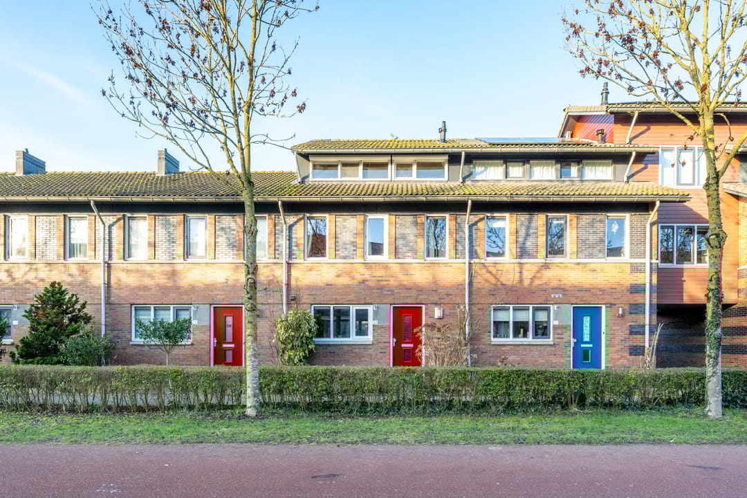 Foto 1 van Beukenhout 24