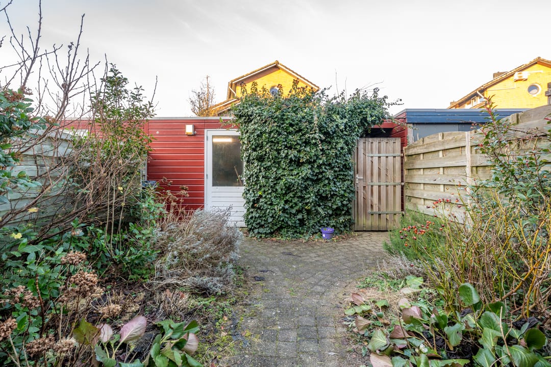 Foto 13 van Beukenhout 24