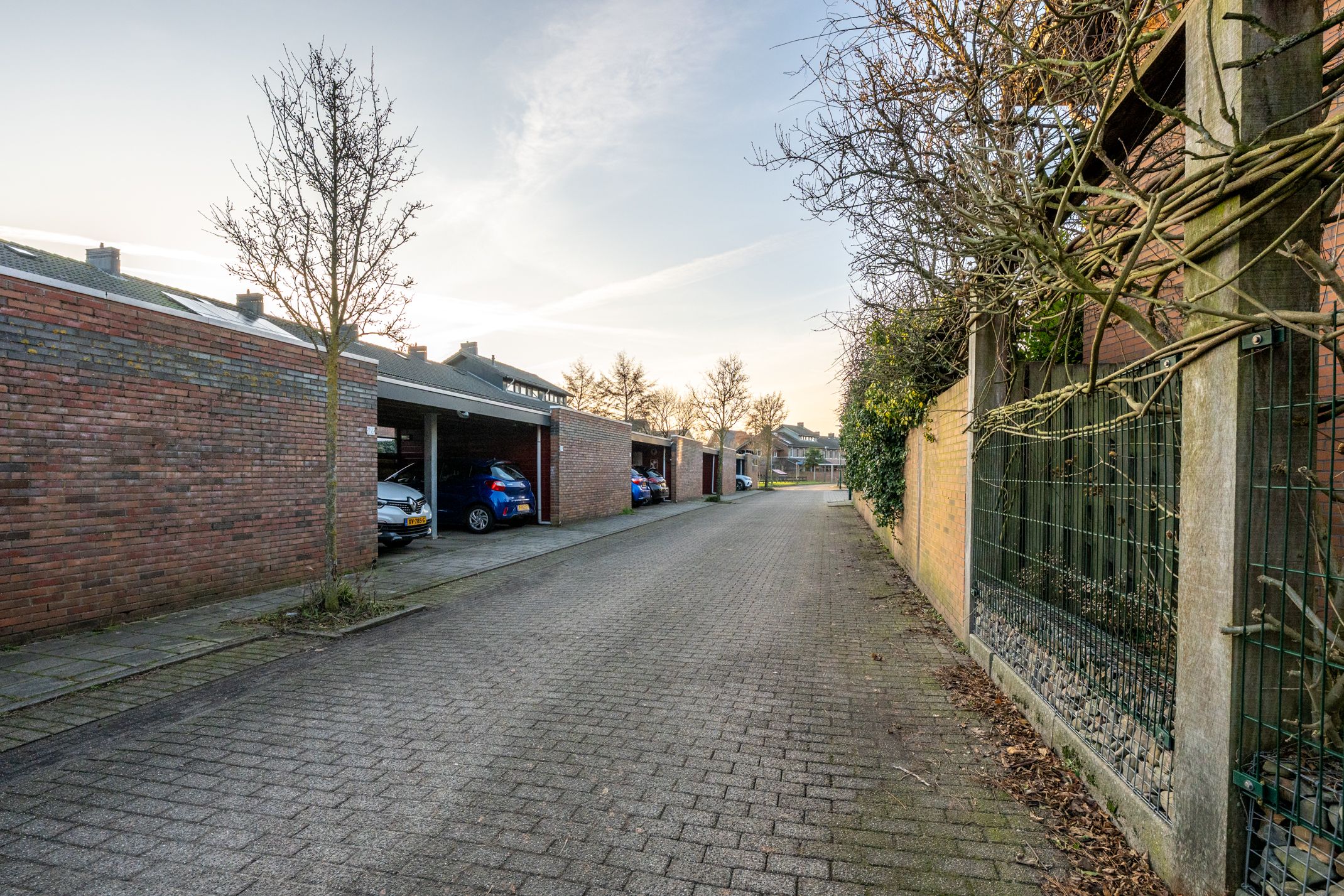 Foto 15 van Beukenhout 24