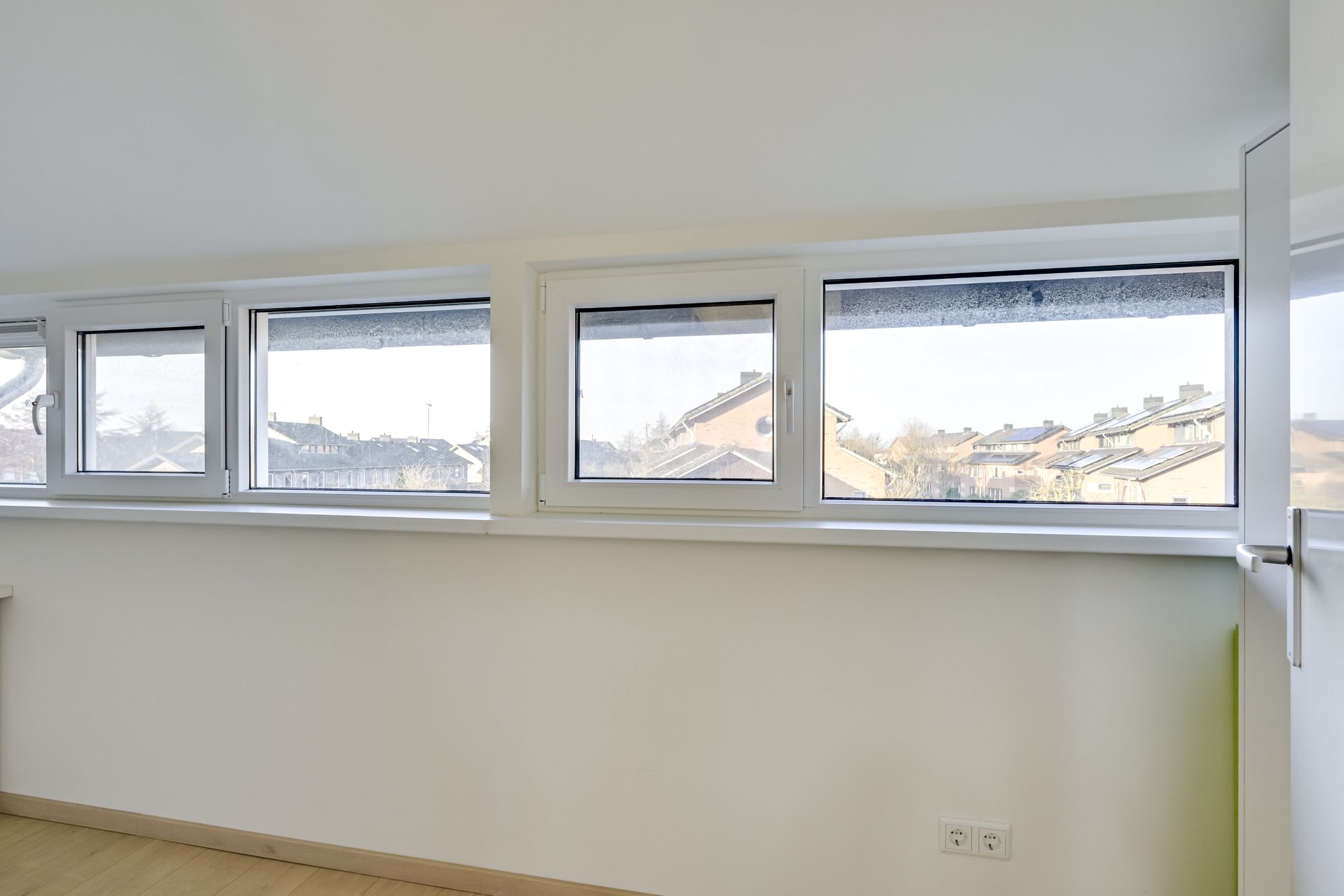 Foto 24 van Beukenhout 24