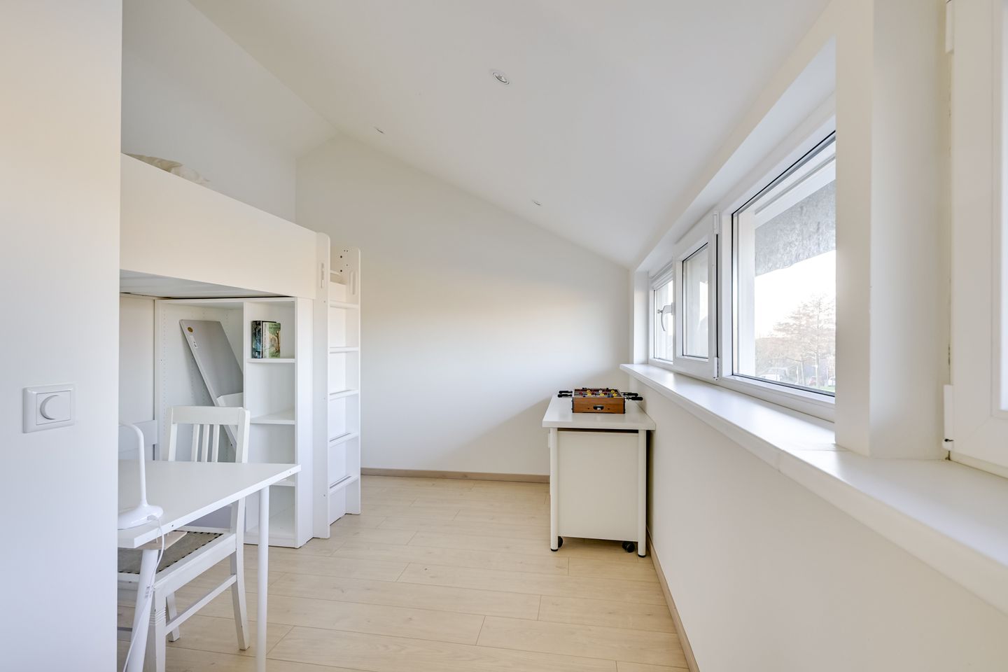 Foto 25 van Beukenhout 24