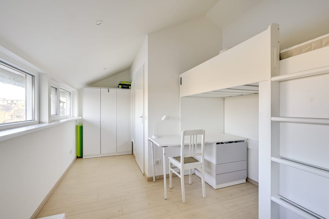 Foto 26 van Beukenhout 24