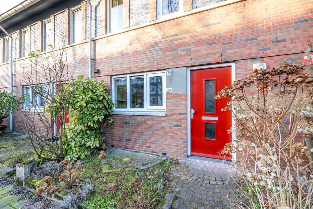 Foto 32 van Beukenhout 24