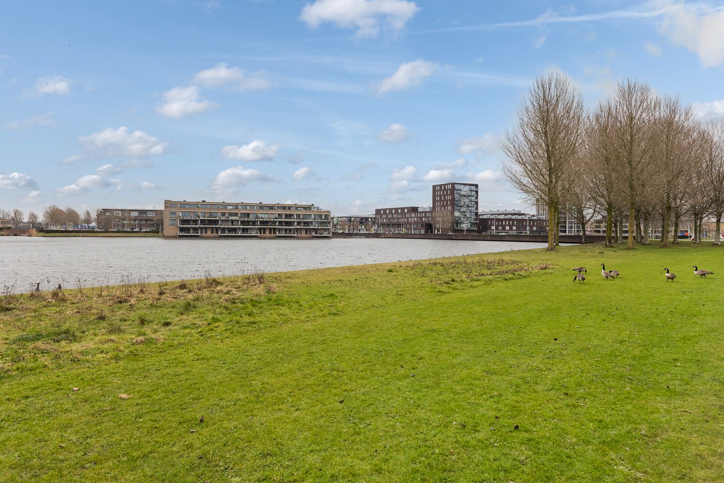 Foto 20 van Muiderstraat 99