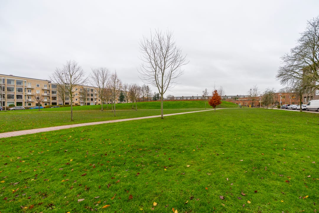 Photo 43 of Victor Hugoplantsoen 26-1