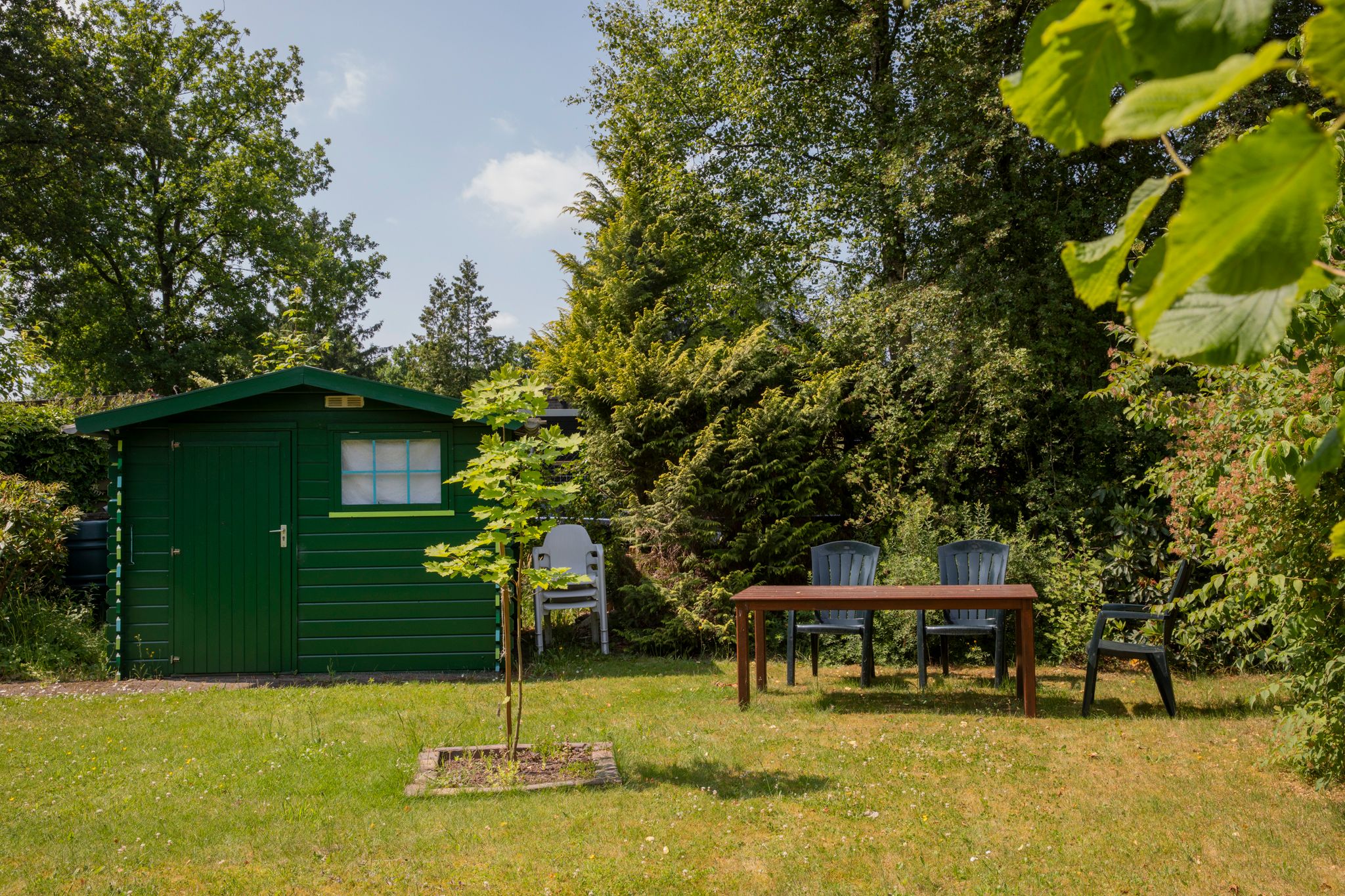 Foto 15 van De Tip 79