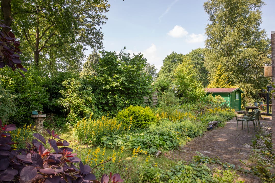 Foto 16 van De Tip 79