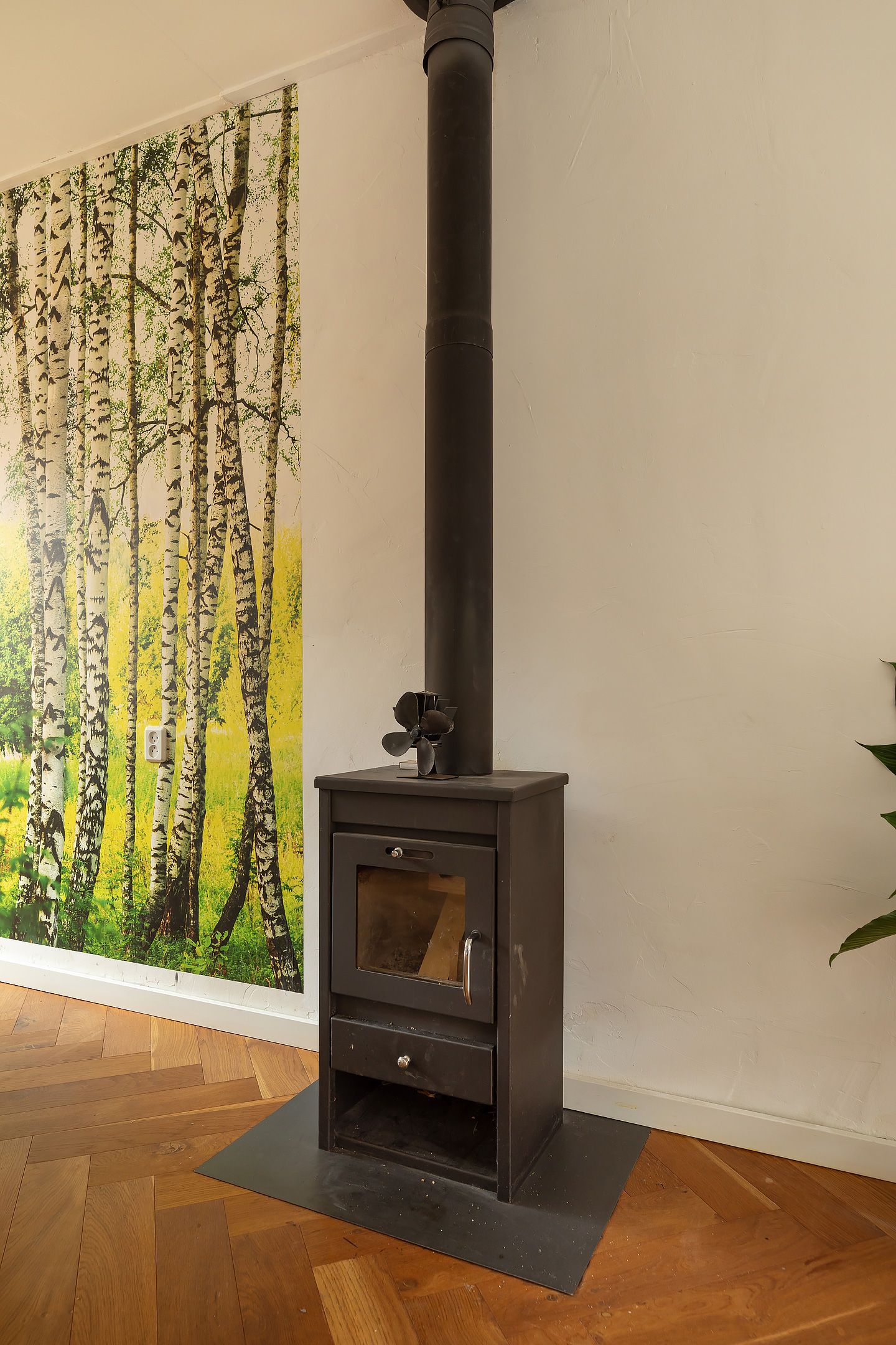 Foto 6 van Wegastraat 28