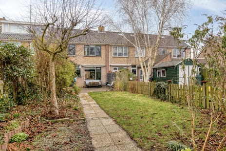 undefined main image