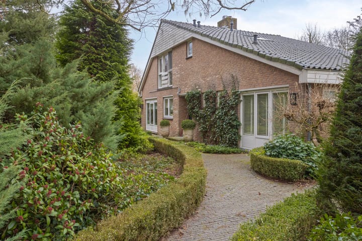 Foto 5 van Ameroever 64