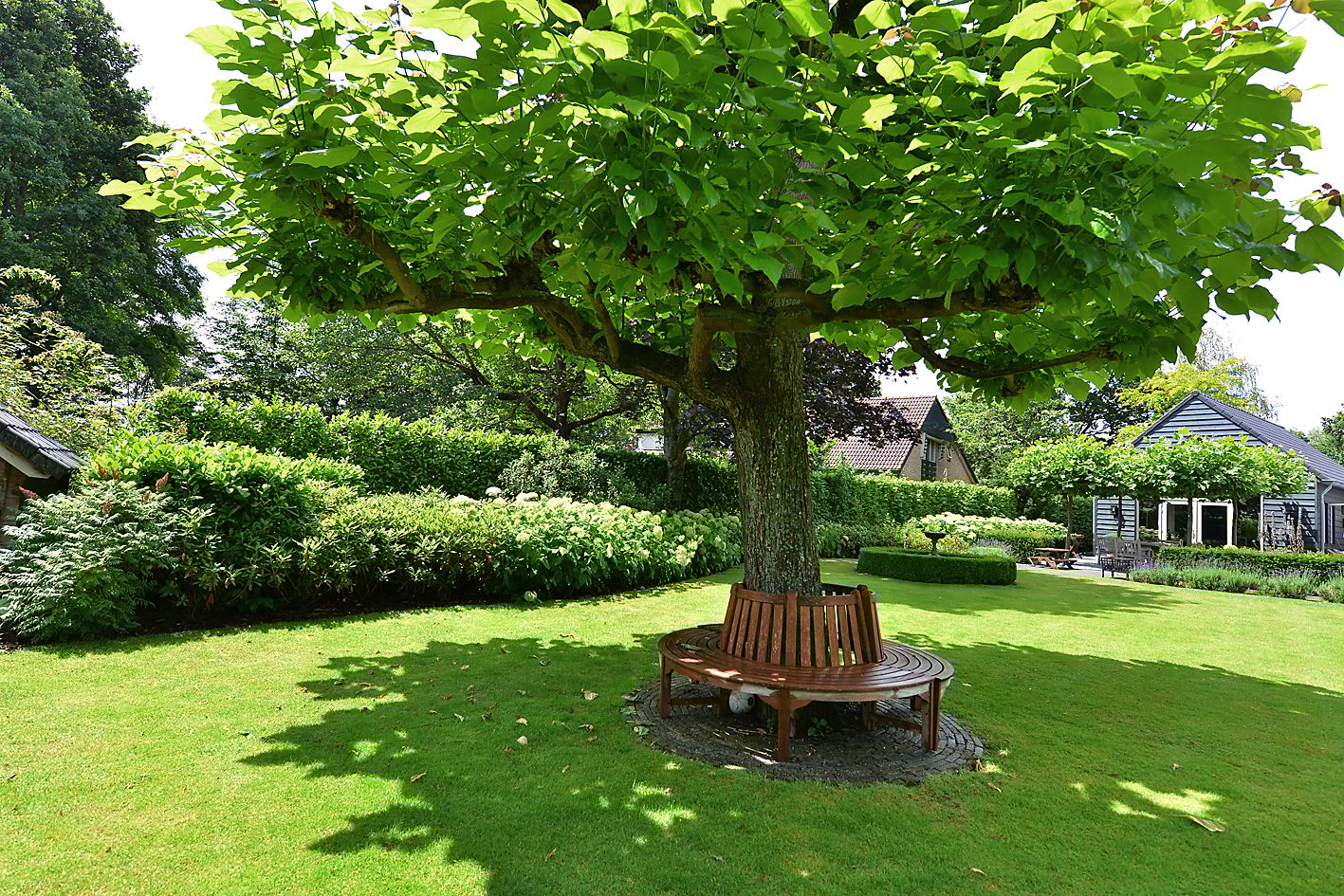 Foto 51 van Ameroever 64