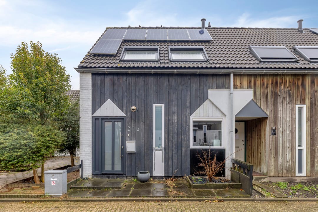 Foto 1 van Kanariesprenk 213