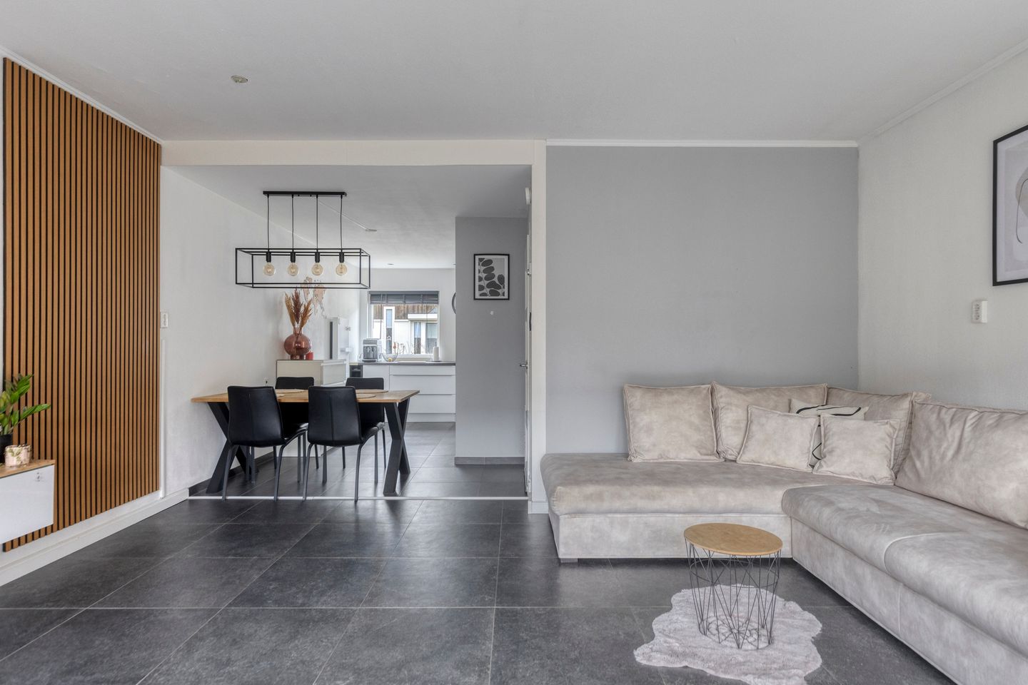 Foto 5 van Kanariesprenk 213