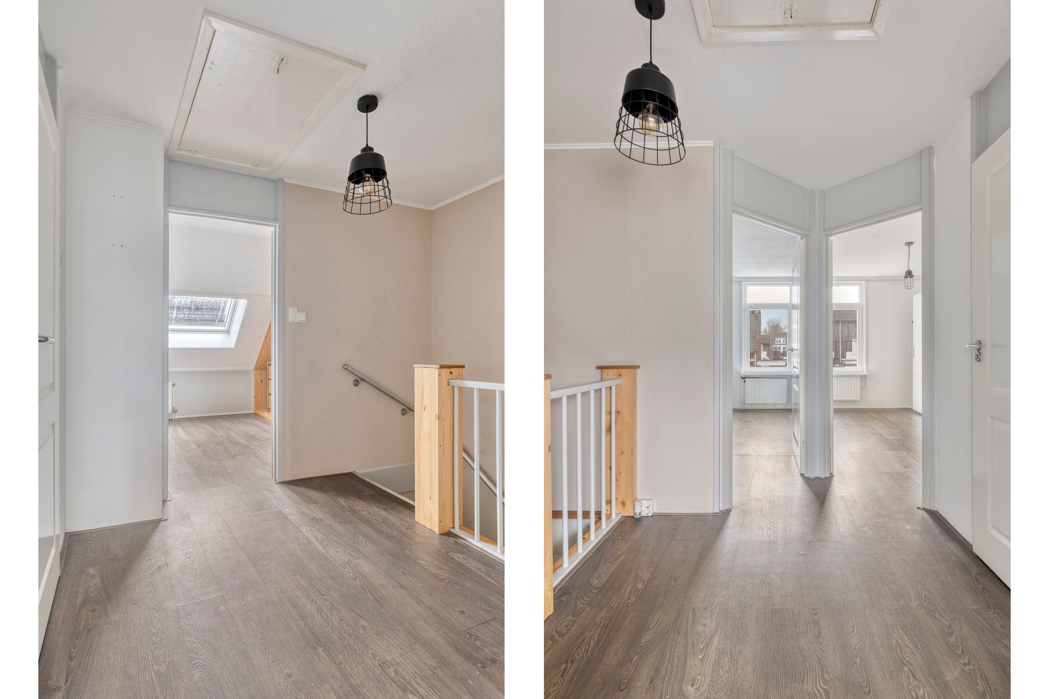 Foto 12 van Kanariesprenk 213