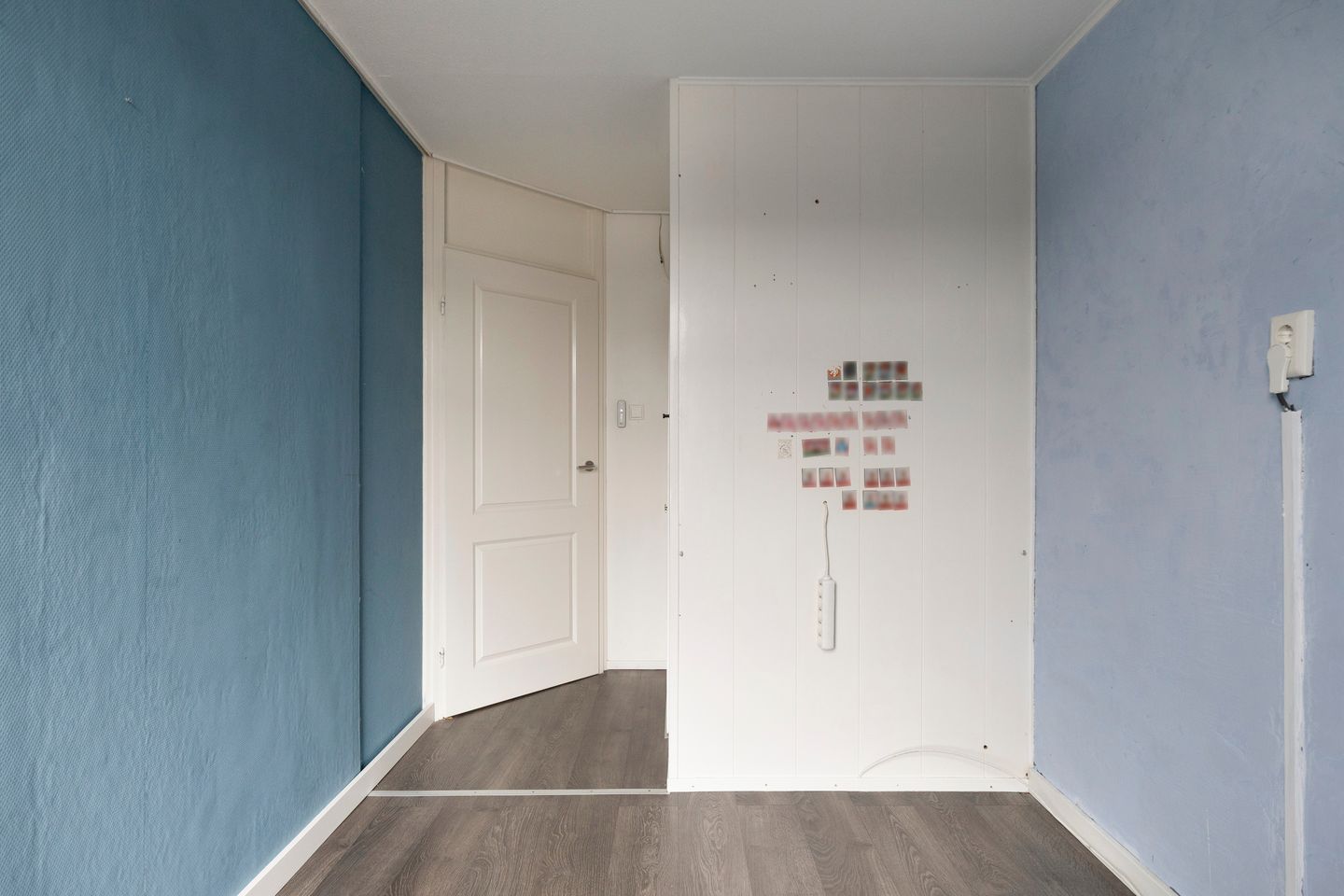 Foto 20 van Kanariesprenk 213