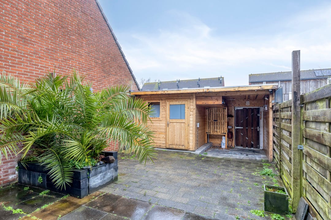 Foto 22 van Kanariesprenk 213