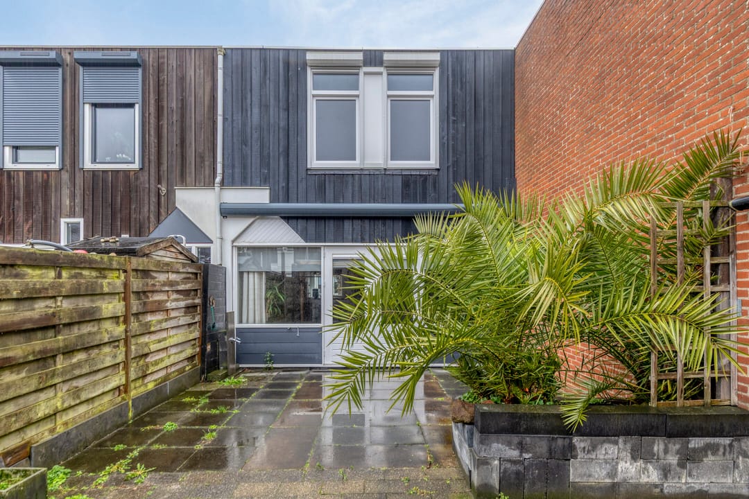 Foto 23 van Kanariesprenk 213