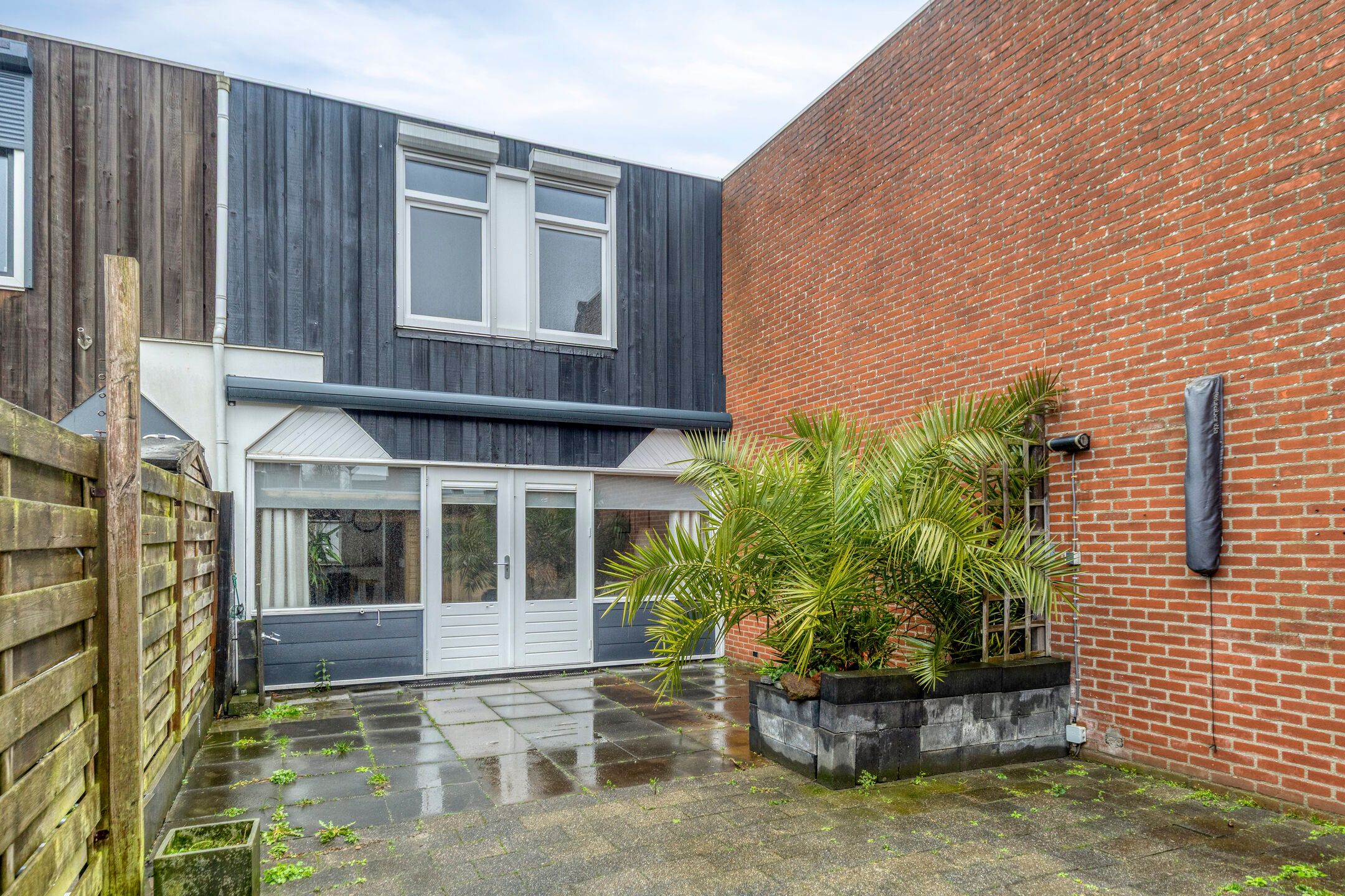 Foto 24 van Kanariesprenk 213