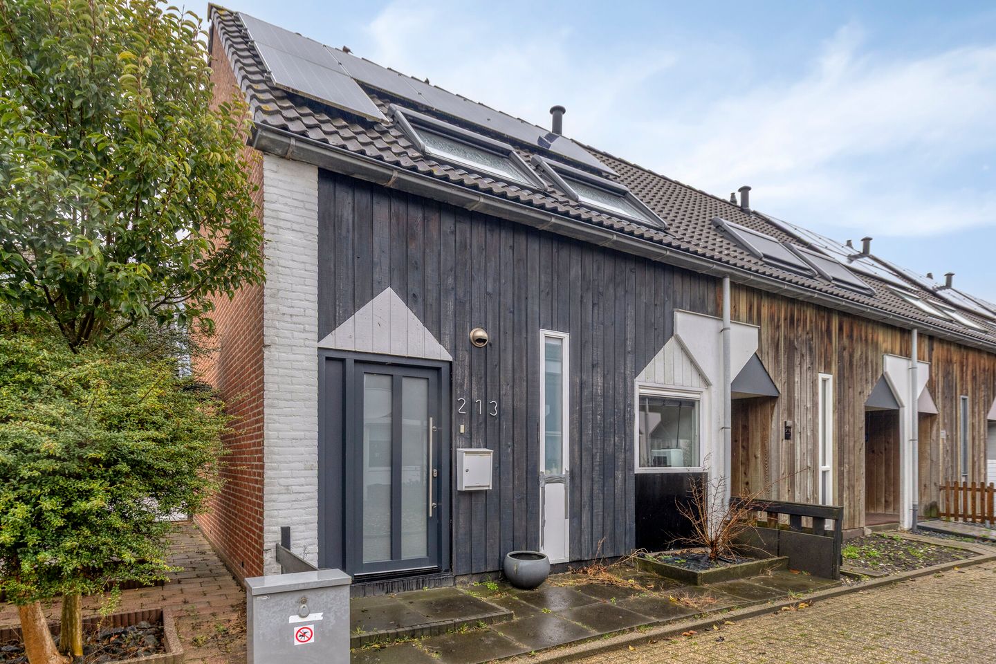 Foto 25 van Kanariesprenk 213