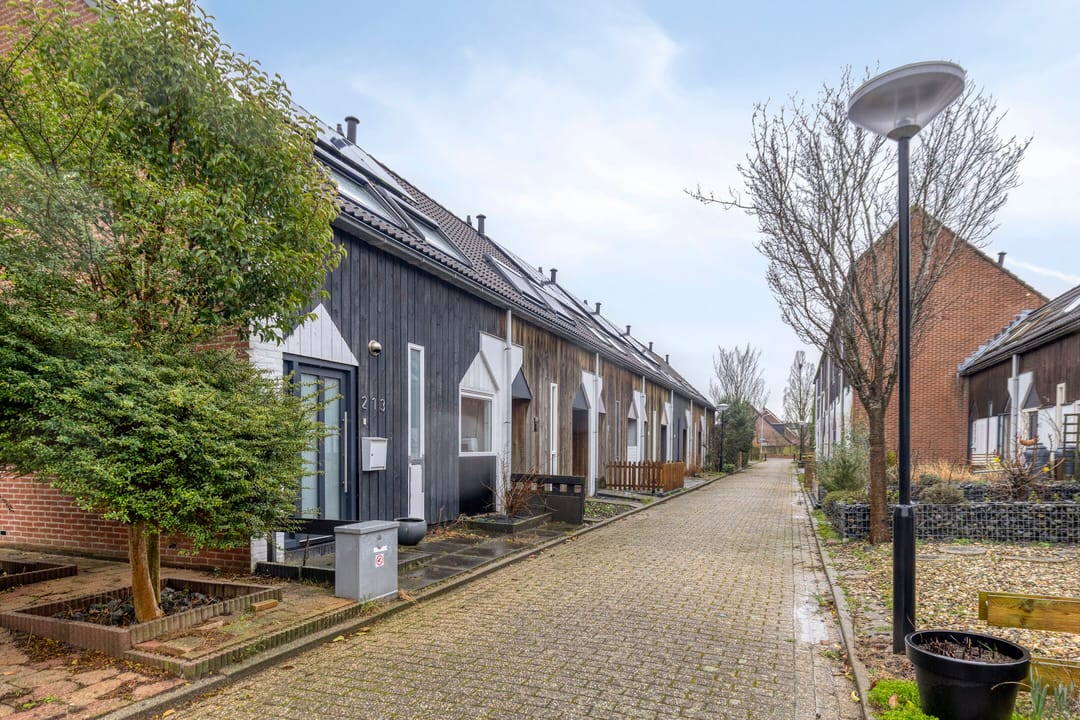 Foto 26 van Kanariesprenk 213