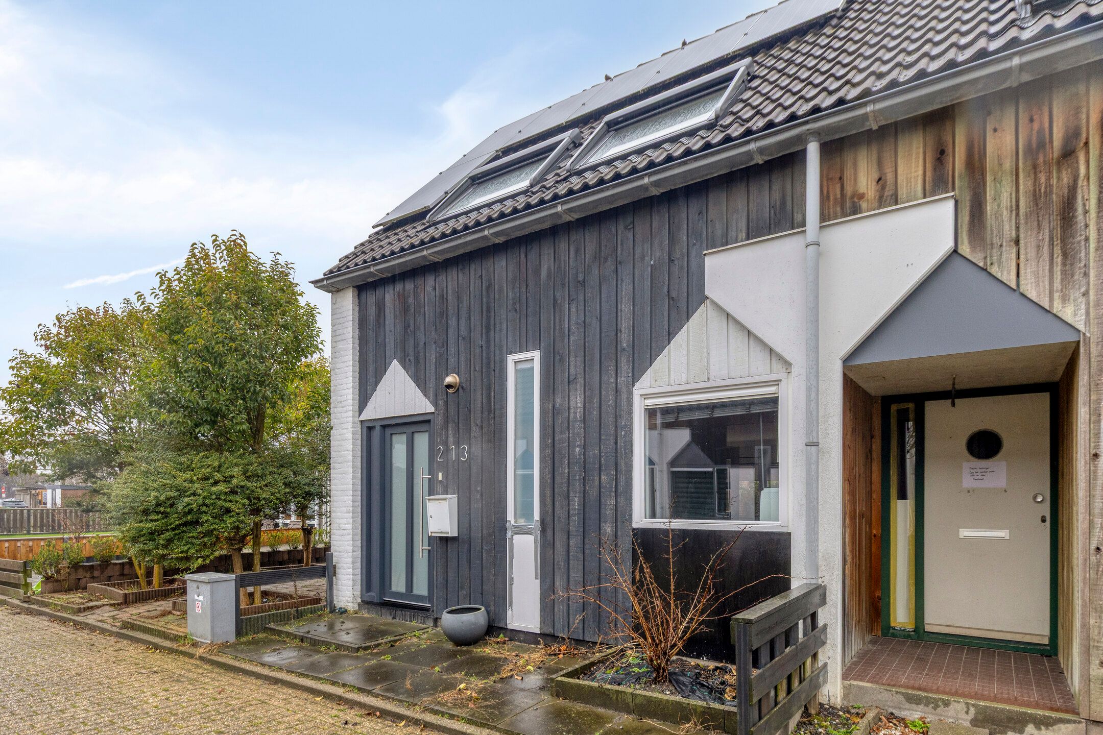 Foto 27 van Kanariesprenk 213