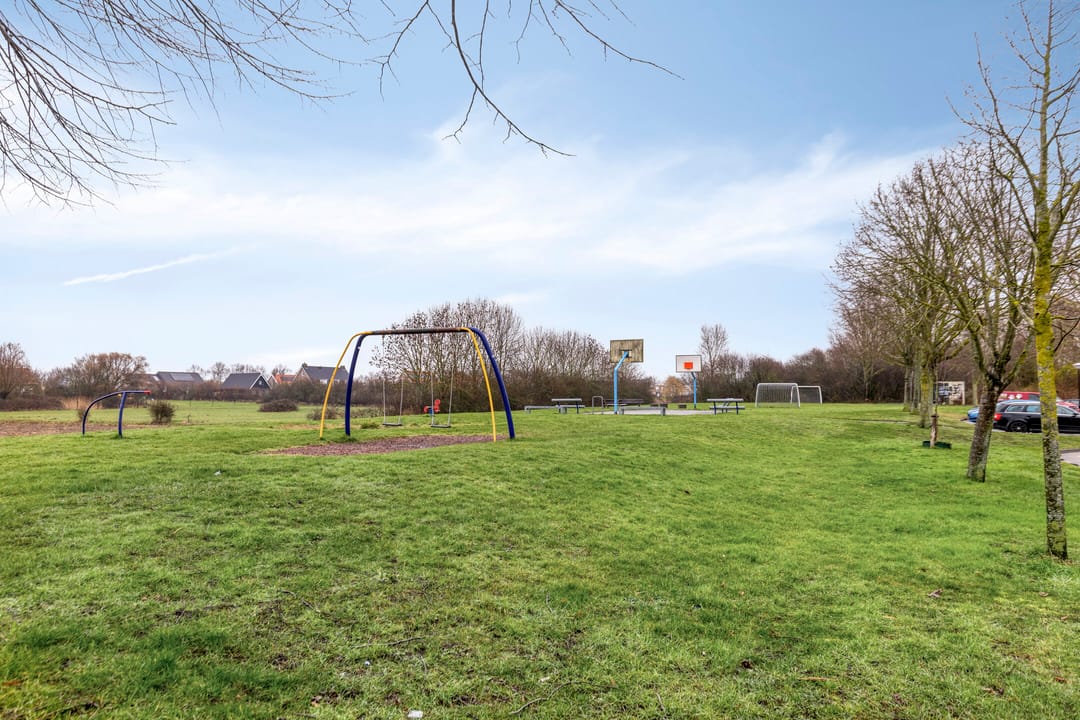 Foto 28 van Kanariesprenk 213