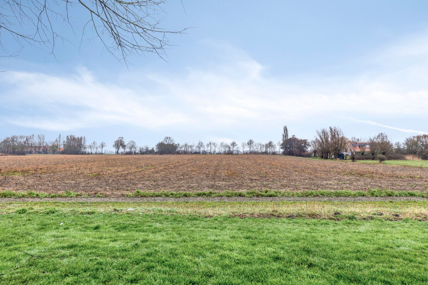 Foto 29 van Kanariesprenk 213