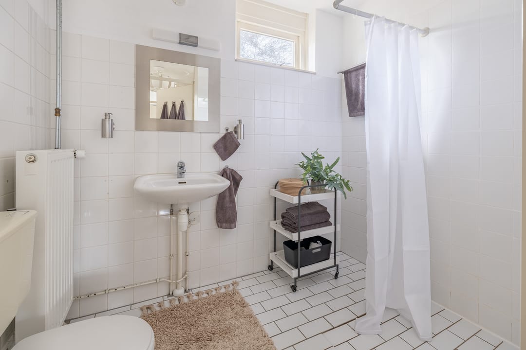 Foto 22 van Meerkoet 27