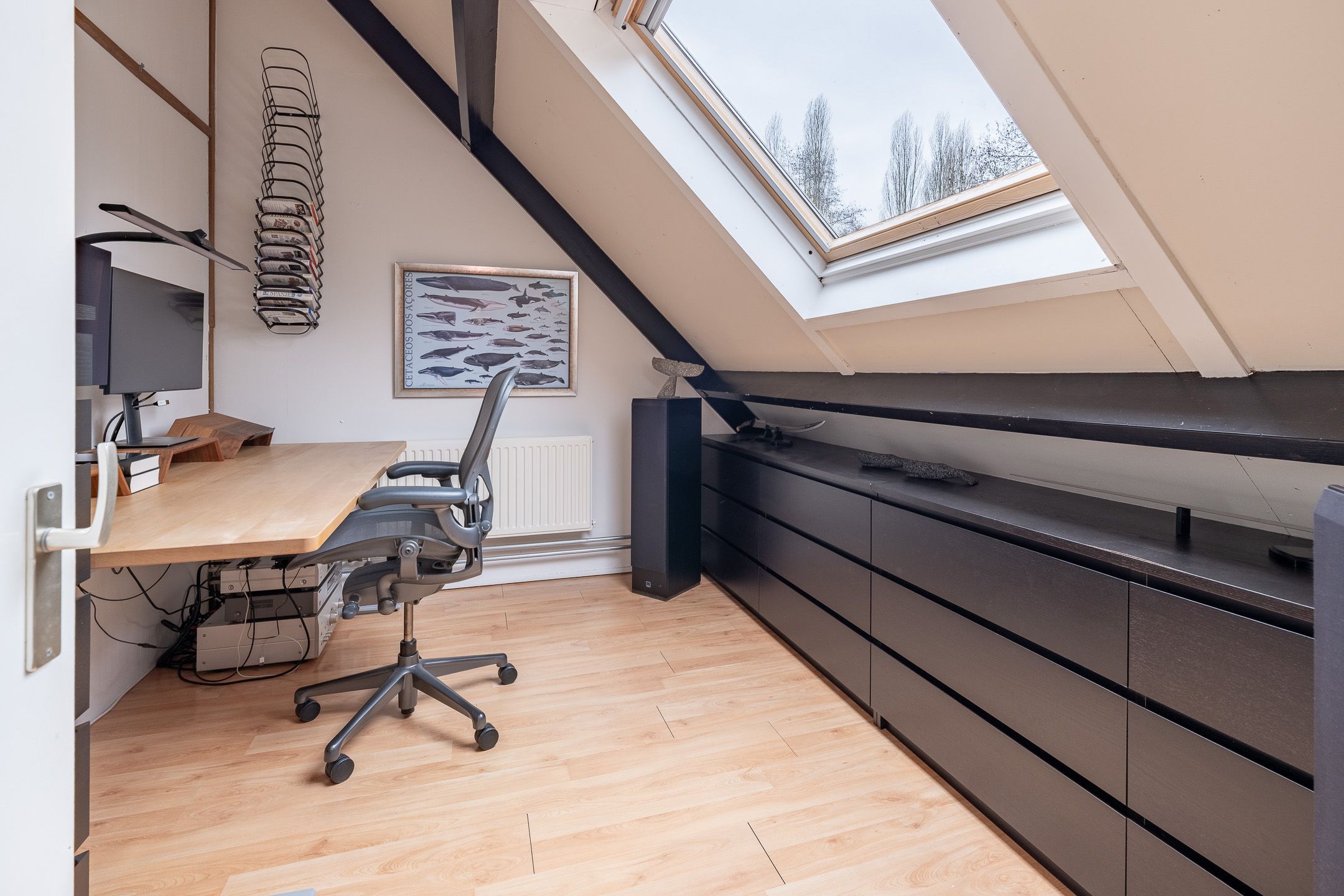 Foto 27 van Meerkoet 27