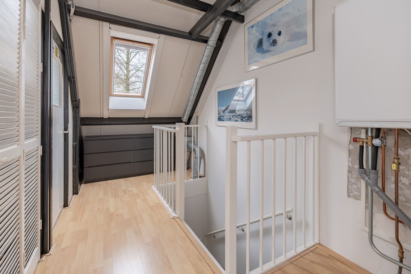 Foto 29 van Meerkoet 27