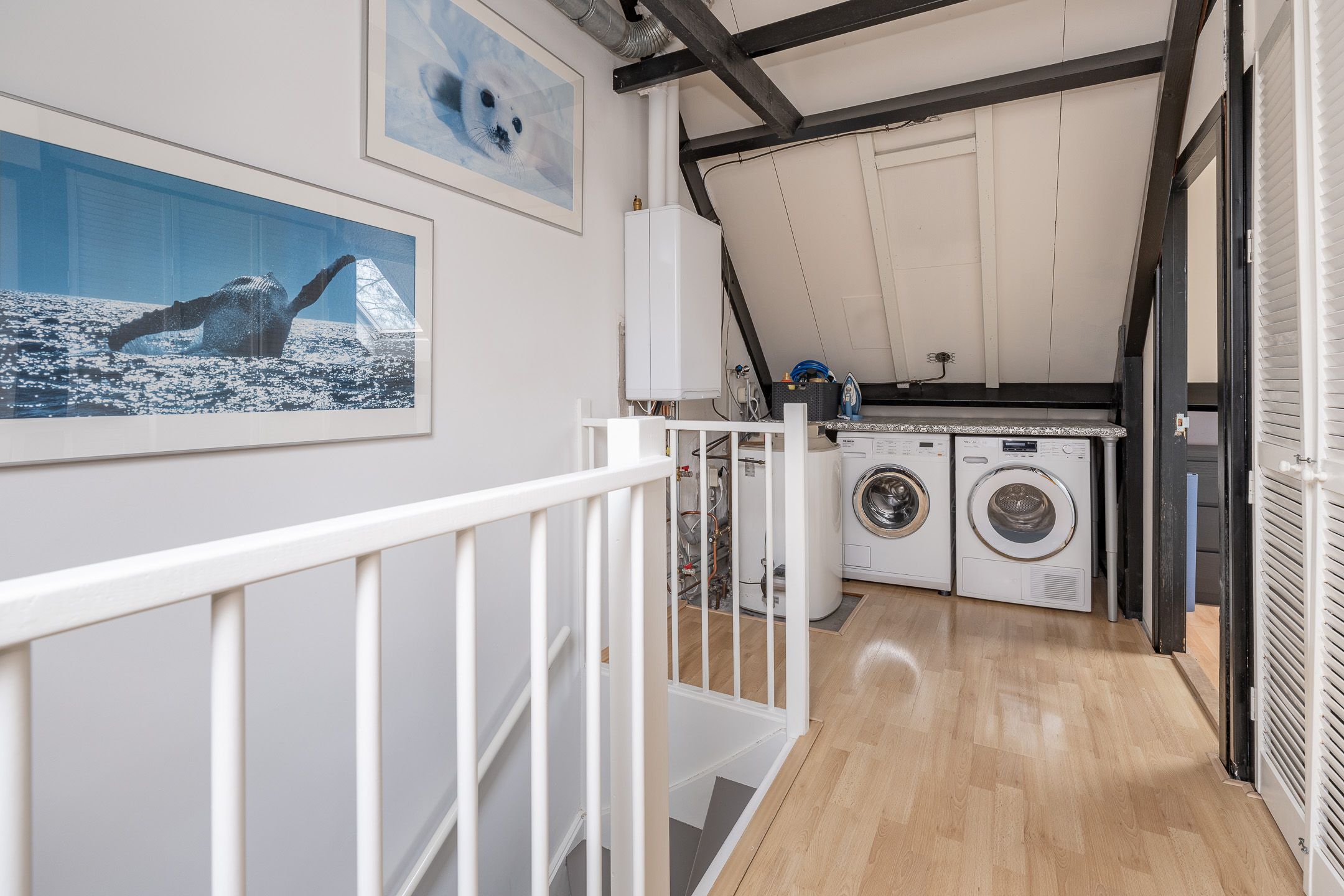 Foto 30 van Meerkoet 27