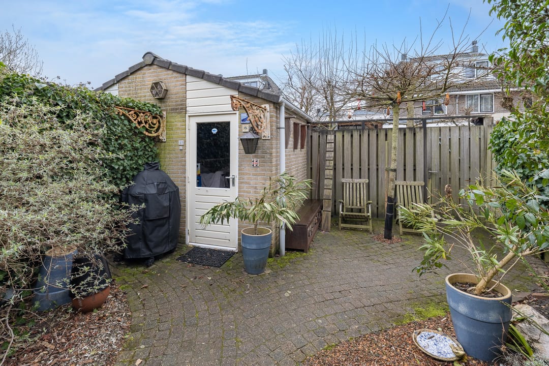 Foto 37 van Meerkoet 27