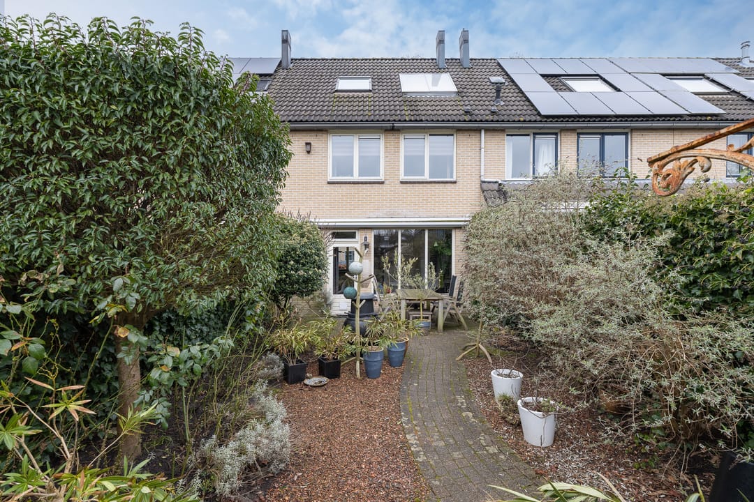 Foto 38 van Meerkoet 27