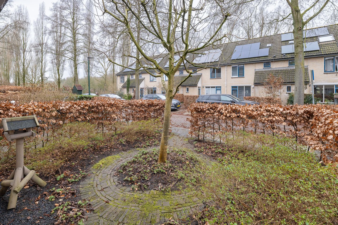 Foto 40 van Meerkoet 27