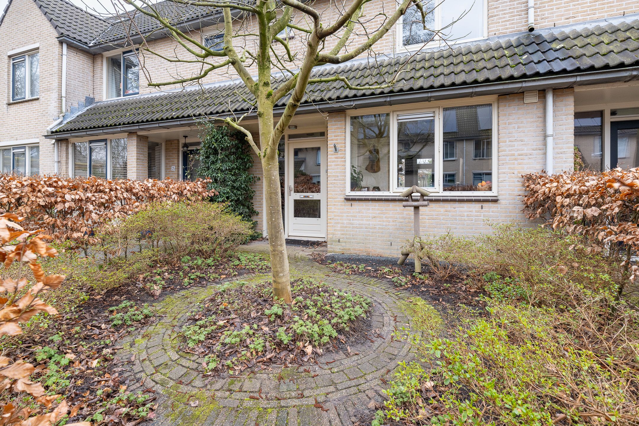 Foto 39 van Meerkoet 27