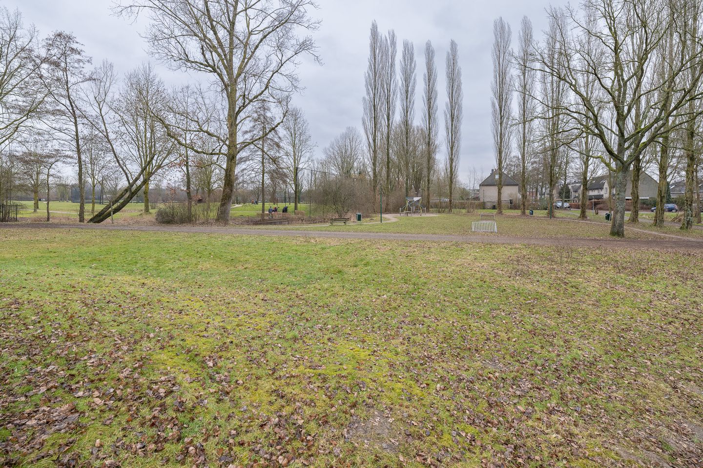 Foto 44 van Meerkoet 27