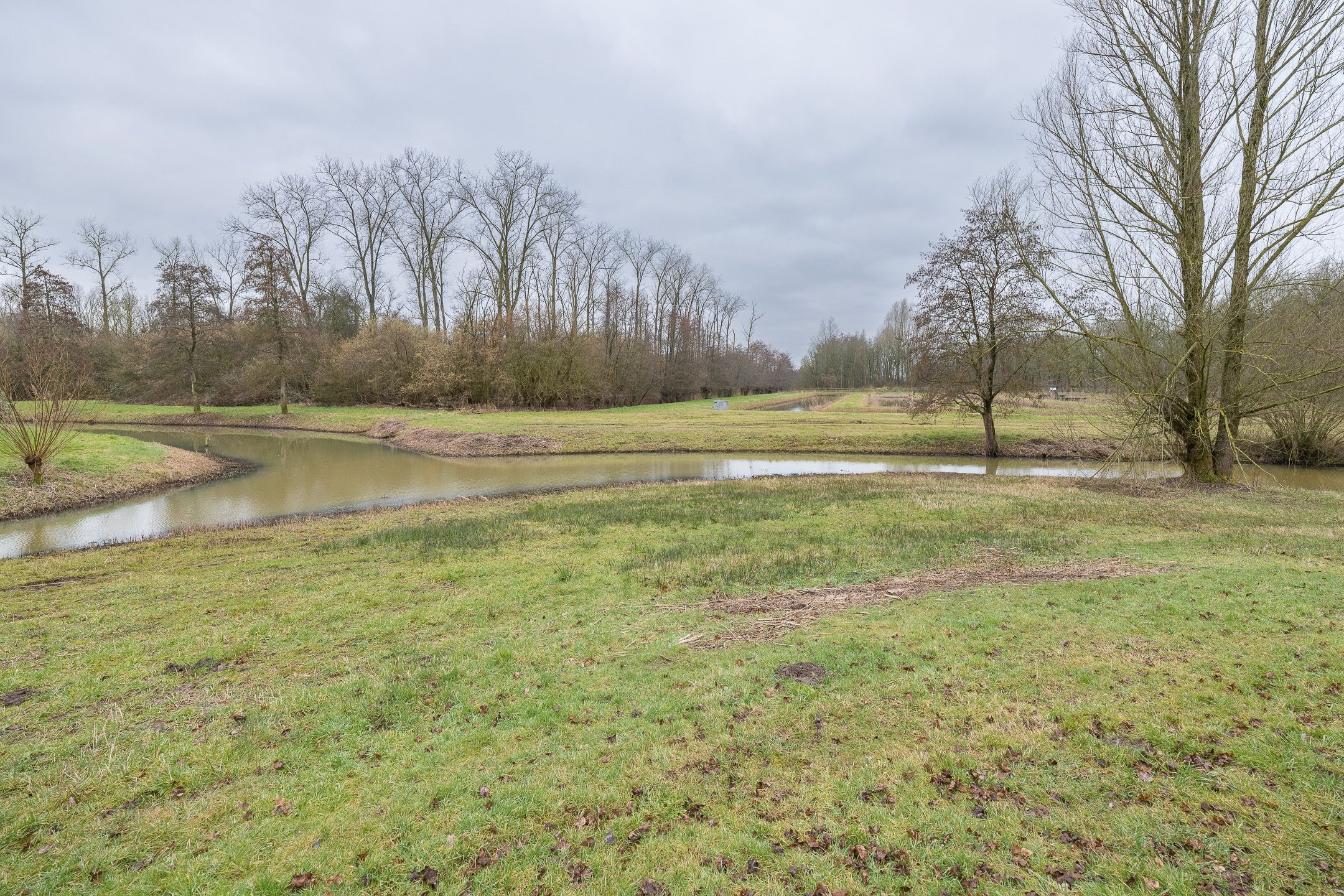 Foto 45 van Meerkoet 27