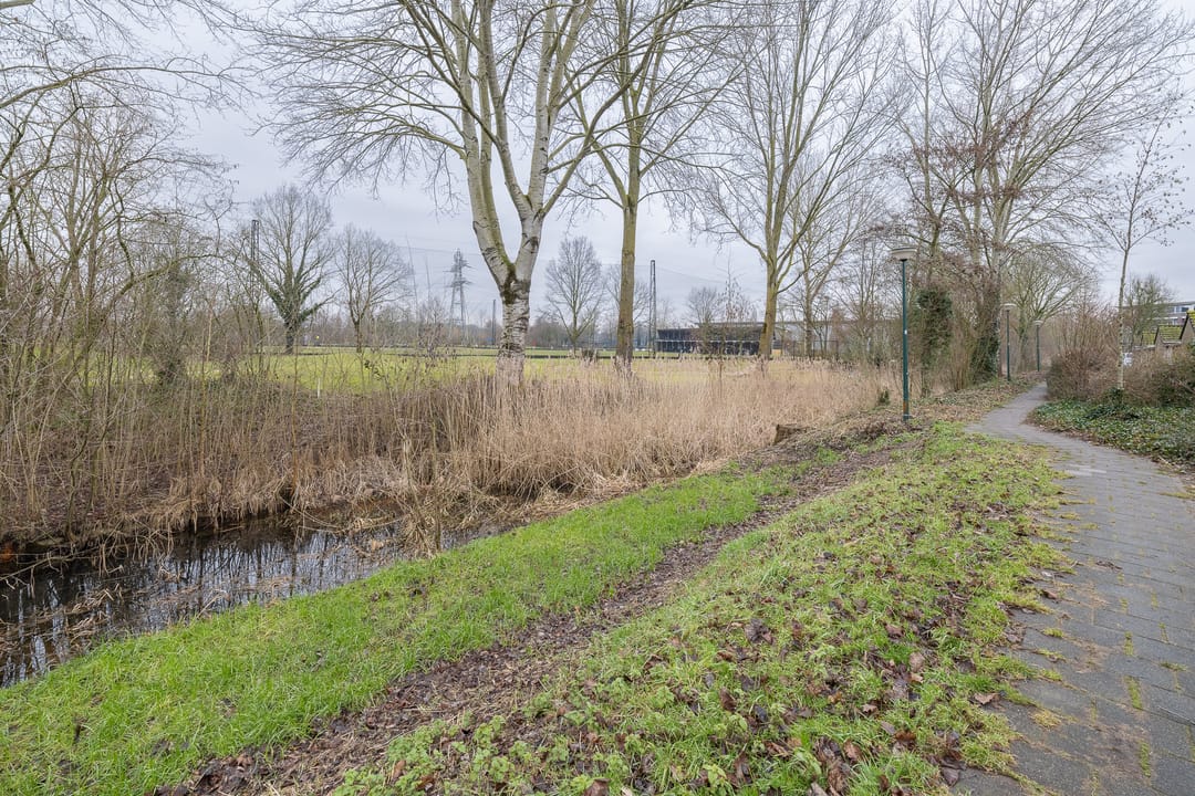 Foto 46 van Meerkoet 27