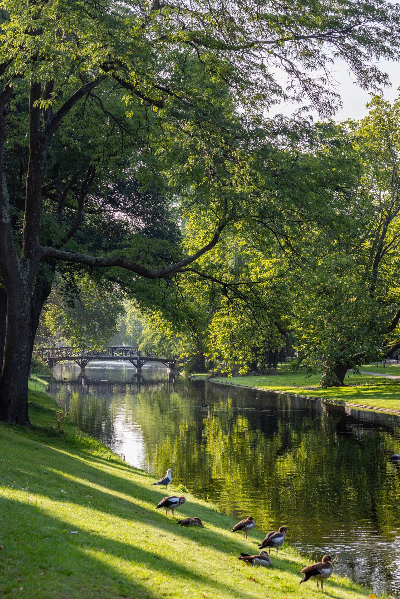 Foto 42 van Noordsingel 140-A