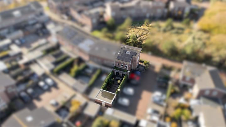 Foto 47 van Wondklaver 24