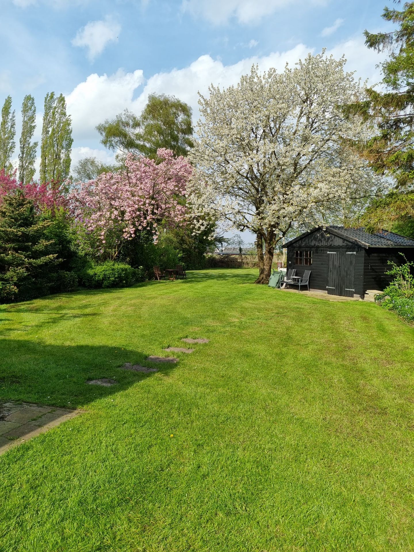 Photo 50 of Koppelwijk OZ 10