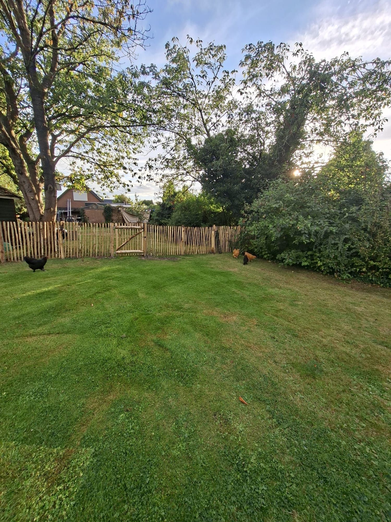 Photo 51 of Koppelwijk OZ 10